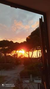 费拉约港Appartamento Marina的透过树木的窗户看到的日落