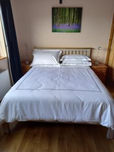 斯莱戈Benbulben View F91YN96的卧室内的一张带白色床单和枕头的床