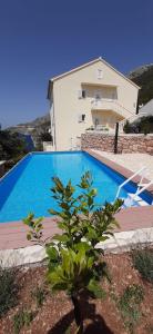 圣内德尔贾Villa Jagoda的一座大蓝色游泳池,位于房子前