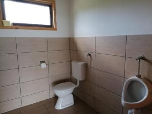 LužeGLAMPING HOUSE RANČ LUŽE的一间带卫生间和小便室的浴室