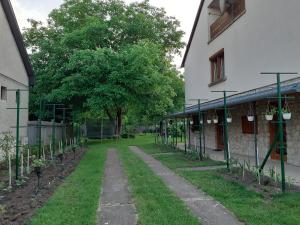 博加奇Farkas Piroska Vendégház的一座花园,旁边是一座树木繁茂的建筑和人行道