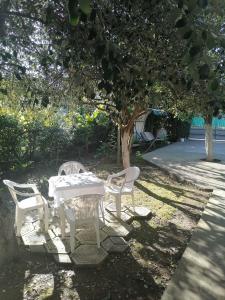 加格拉Дом под ключ的树下一张白色的桌子和椅子