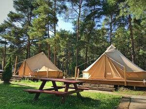 瓦济Slowly Glamping Osada Nad Wodą的野餐桌和草棚