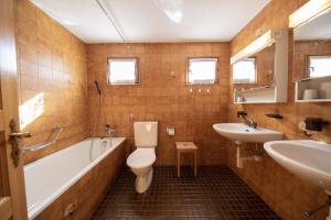 阿尔瓦努Ferienhaus Alvaneu für Familien的带浴缸、卫生间和盥洗盆的浴室