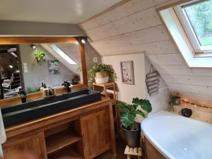 Arrens-Marsousgîte le gabizos avec bain nordique et sauna en pleine montagne的一间带水槽和镜子的浴室