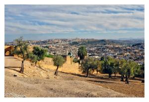 非斯Riad Layalina Fes的从树木茂密的山丘上欣赏到城市美景