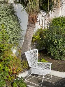 洛思坎加约斯坎卡约斯公寓的棕榈树旁的白色椅子