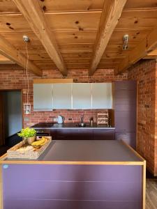 帕维洛斯塔Schneider的厨房配有紫色柜台和砖墙