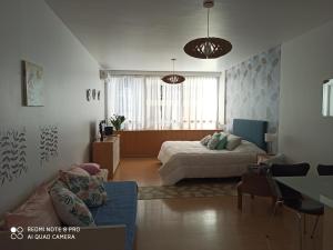 布宜诺斯艾利斯Recoleta Beatiful Gran Callao的相册照片