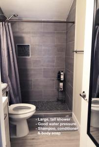 坦培Tempe ASU Guest Suite的一间带卫生间和淋浴的浴室