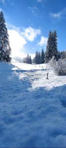 冬天的Cahute de montagne pour profiter du Haut Jura