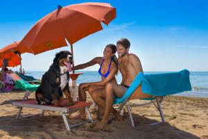 里米尼Sovrana Hotel & SPA的一群人坐在海滩上,带着狗