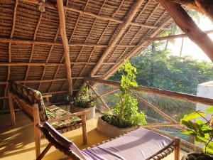 江比阿Jambiani Guest Lodge PEMBA的屋顶上摆放着椅子和盆栽植物的房间