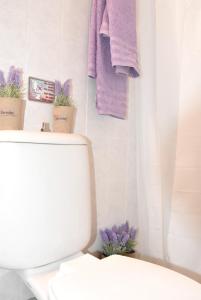 里科索翁Anemomylos Apartments的一间带卫生间和紫色毛巾的浴室