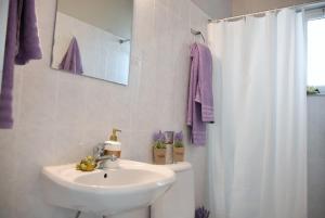里科索翁Anemomylos Apartments的浴室设有水槽和白色的淋浴帘