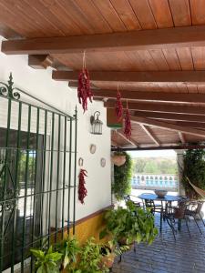 博尔诺斯Casa Rural Finca las Tejoneras的一个带桌子和一些植物的庭院