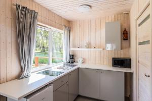 波别罗沃Domki Aqua Holiday的一个带水槽和窗户的小厨房
