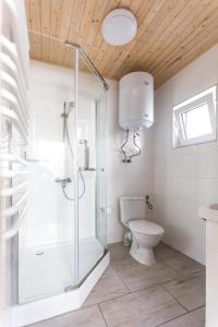波别罗沃Domki Aqua Holiday的一间带玻璃淋浴和卫生间的浴室