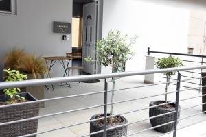 托隆Studio Dionysia的阳台种植了盆栽植物,设有栏杆