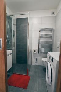 库特纳霍拉Modern apartment in Kutna Hora的一间带玻璃淋浴和卫生间的浴室