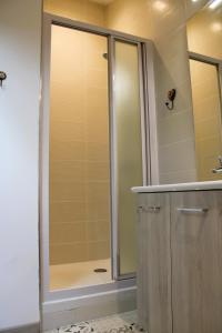 BurgyLE CLOS DES PIERRES ROUGES的浴室里设有玻璃门淋浴