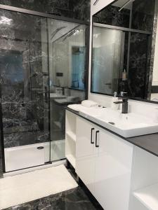 热舒夫Capital Towers - Apartament Modern z widokiem na rzekę的浴室配有白色水槽和淋浴。