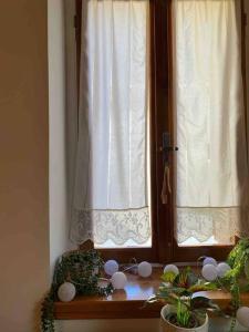 DidymaAspa's Traditional House的窗户,桌子上布满白色窗帘和植物