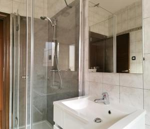 罗维尼劳拉公寓的一间带水槽和淋浴的浴室