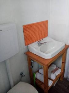 梅塞德斯Uy - ROMÁNTICA Cabaña en entorno Natural único的一间带水槽和卫生间的浴室