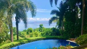 MataasnakahoyVillas by Eco Hotels Batangas的棕榈树森林中间的游泳池
