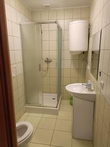 什奇特诺Dar Lasu的带淋浴、卫生间和盥洗盆的浴室