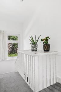 伦敦Stunning Victorian property near Canary Wharf!的两株盆栽植物,坐在白色的墙上
