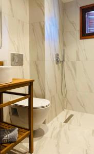 阿基欧斯尼古拉斯Palazzo Arhontiko Apartments的一间带卫生间和淋浴的浴室