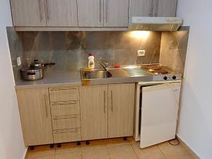 博尔什Vila Gusti的一间带水槽和冰箱的小厨房
