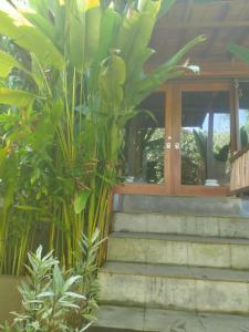 努沙杜瓦Pier26 Bali Homestay的通往植物丛的建筑的楼梯