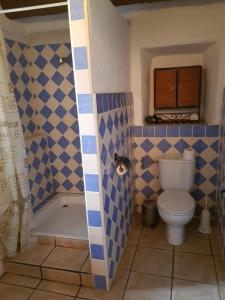 CádiarGranja de Matias的一间带卫生间和淋浴的浴室