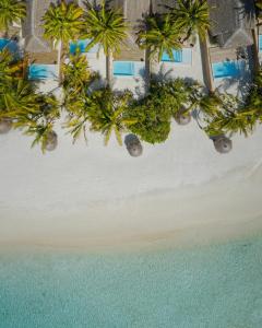 南马累环礁Anantara Dhigu Maldives Resort - Special Offer On Transfer Rates For Summer 2024的棕榈树海滩的空中景致