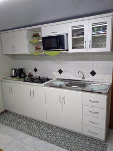 格拉玛多Casa e Flat Conforto Gramado的白色的厨房配有水槽和微波炉
