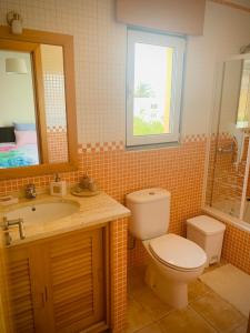 圣港Porto Santo Casa Dourada的一间带卫生间、水槽和镜子的浴室