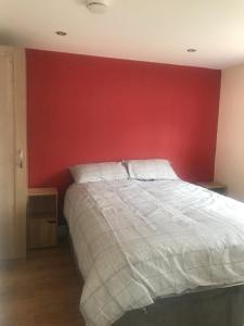 约克Garden flat near the University of York的一间卧室配有一张红色墙壁的床