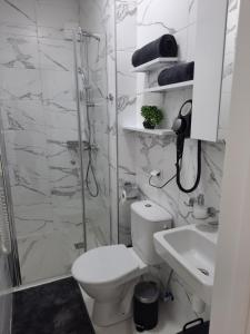 帕兰加SUN HOME的带淋浴、卫生间和盥洗盆的浴室
