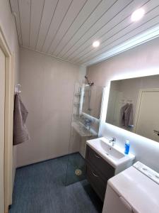 萨翁林纳Mäntylinna的一间带水槽、淋浴和镜子的浴室
