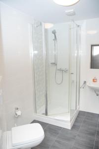 汉恩明登Hotel Fulda的带淋浴、卫生间和盥洗盆的浴室