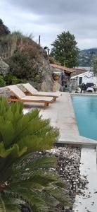 Santa Cruz do DouroCasa Mateus - Aregos Douro Valley的房屋旁带躺椅的游泳池