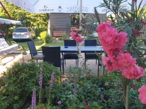 科斯蒂内什蒂Casa Mary的花园里的桌椅,花朵粉红色