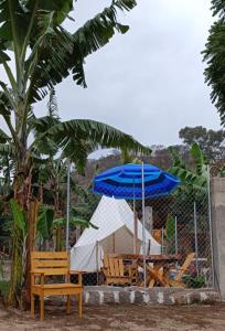 圣佩德罗拉拉古纳Tipis Ya'的长凳、蓝伞和帐篷