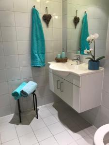 Hordatun Panorama的一间浴室