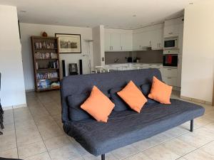 代堡25号粉红色公寓度假屋的客厅里配有带橙色枕头的蓝色沙发