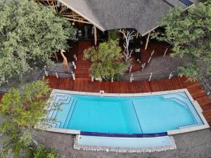 奥考奎约Etosha Oberland Lodge的享有庭院游泳池的顶部景色