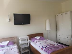 巴德劳西克Schmetterling Zimmer的一间卧室设有两张单人床和一台平面电视。